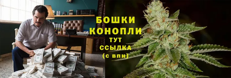 где продают   Сланцы  Канабис LSD WEED 